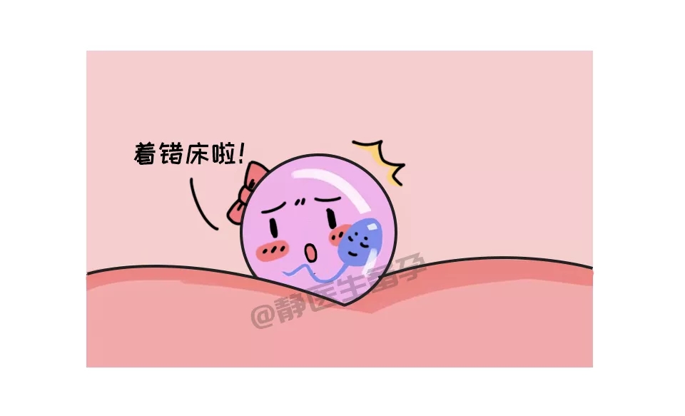 帾 ѹе¾أ 