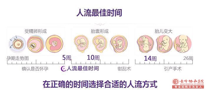 林西县做无痛引产所需的手术费用大概是多少呢